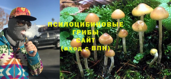 спайс Абдулино