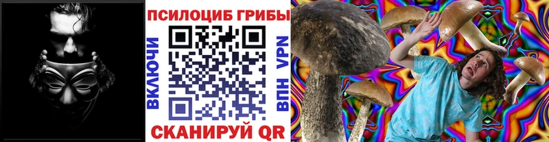 Псилоцибиновые грибы прущие грибы Холм